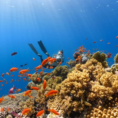 neom-_tDdlCJIwOA-unsplash